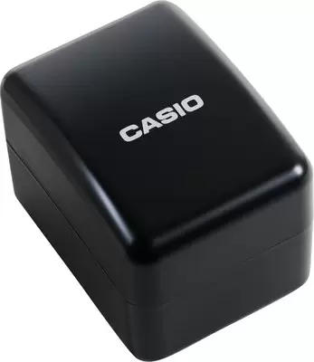 Наручные часы Casio MTD-135D-2A фото