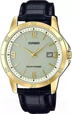 Наручные часы Casio MTP-VS02GL-9A2 фото