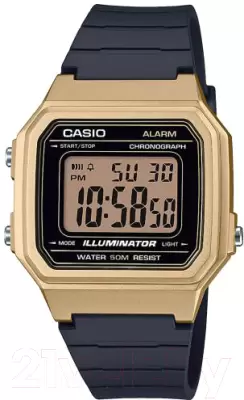 Наручные часы Casio W-217HM-9AVEF фото