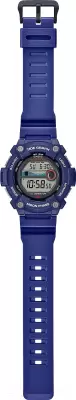Наручные часы Casio WS-1300H-2A фото