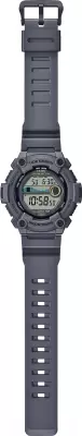 Наручные часы Casio WS-1300H-8A фото