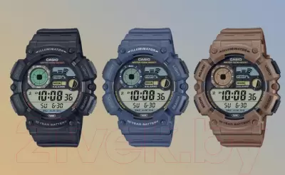 Наручные часы Casio WS-1500H-2A фото