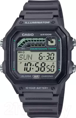 Наручные часы Casio WS-1600H-8A фото