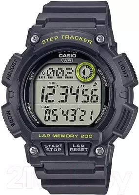 Наручные часы Casio WS-2100H-8A фото