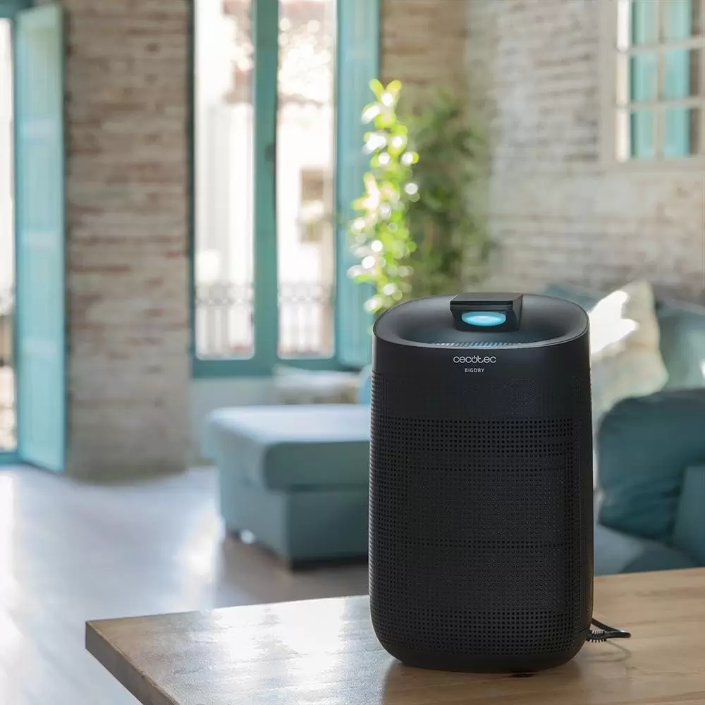 Осушитель воздуха Cecotec BigDry 3000 фото