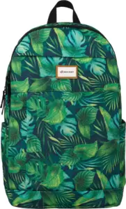 Рюкзак Cedar Rovicky R-PST-9275 03 фото