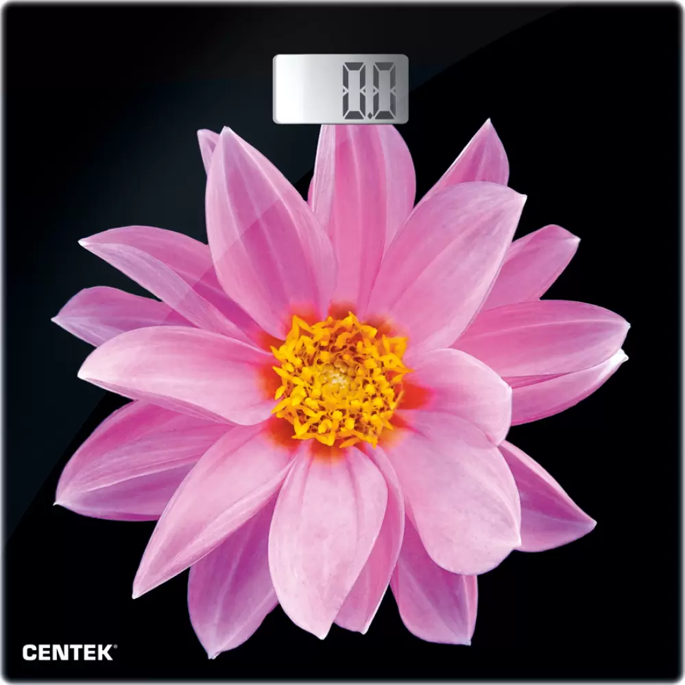 CENTEK CT-2416 Pink Flower