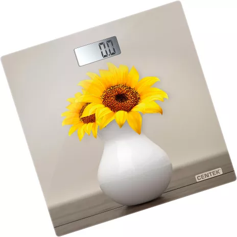 CENTEK CT-2428 Sunflower