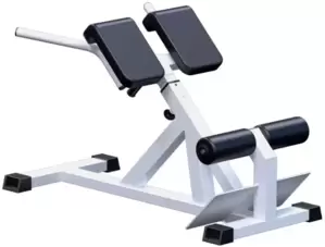 Гиперэкстензия Central Sport Pro AR026 фото
