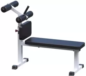 Римский стул Central Sport Pro AR028 фото