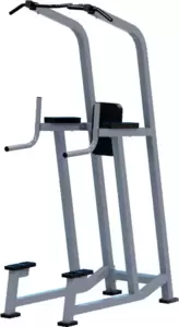 Брусья-пресс-турник Central Sport Pro ARMSX600 фото