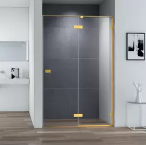 Душевая дверь Cezares BELLAGIO-B-12-120-C-BORO фото