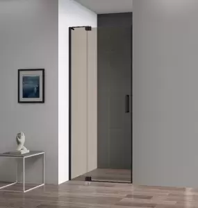 Душевая дверь Cezares SLIDER-B-1-100/110-BR-NERO фото