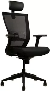 Кресло Chair Meister Art line (черный) фото