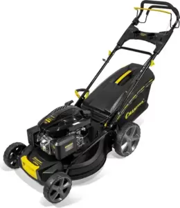 Champion LM5344
