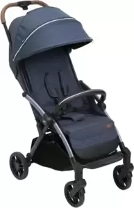 Детская прогулочная коляска Chicco Goody Xplus (Radiant Blue) icon
