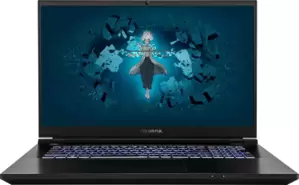 Ноутбук Colorful Evol X17 Pro Max A10003400442 фото