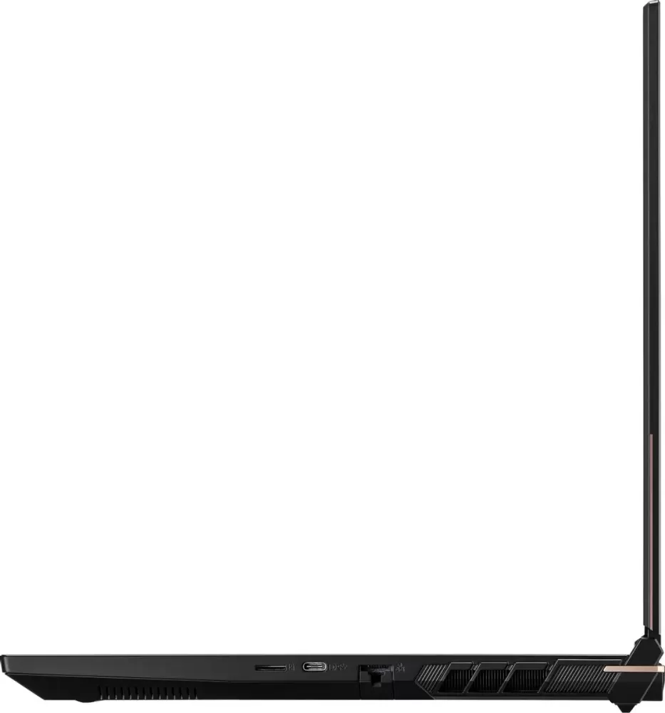 Ноутбук Colorful Evol X17 Pro Max A10205400068 фото