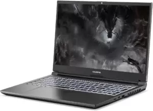 Игровой ноутбук Colorful X15 A10207000035 фото