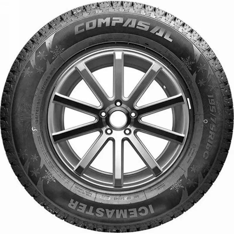 Зимняя шина Compasal IceMaster 205/55R16 91S фото