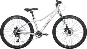 Велосипед Cord 5Bike 26 M300 2025 CRD-M5-2611-13 (цветущая сакура) фото