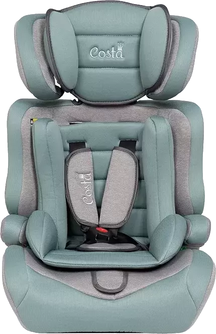 Costa HC-01/13 (мятный/серый)