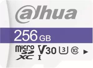 Dahua DHI-TF-C100/256GB