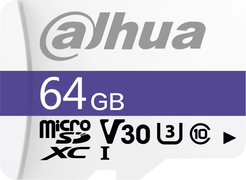 Dahua DHI-TF-C100/64GB