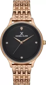 Наручные часы Daniel Klein 13044-5 фото