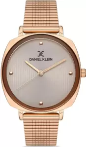 Наручные часы Daniel Klein 13151-2 фото
