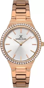 Наручные часы Daniel Klein 13215-2 фото