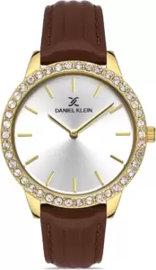 Наручные часы Daniel Klein 13254-6 фото
