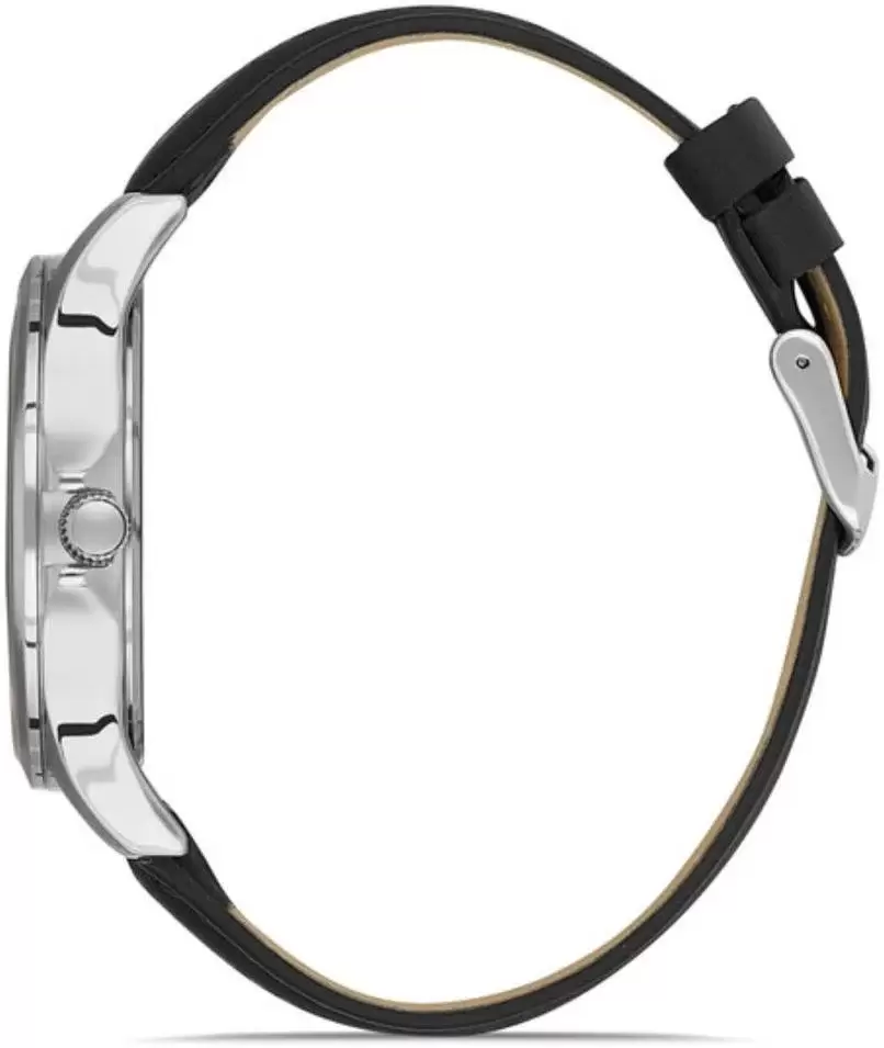 Наручные часы Daniel Klein 13297-3 фото