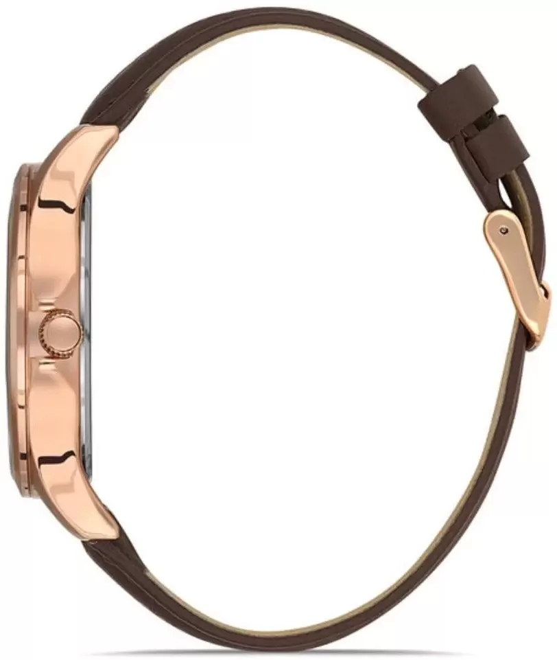 Наручные часы Daniel Klein 13297-4 фото