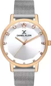 Наручные часы Daniel Klein 13406-6 фото