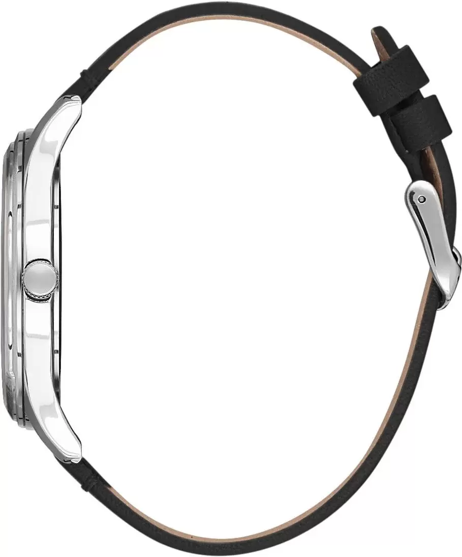 Наручные часы Daniel Klein 13517-1 фото