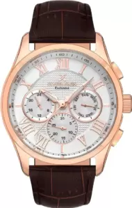 Наручные часы Daniel Klein 13676-3 фото