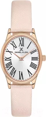 Наручные часы Daniel Klein 13723-4 фото
