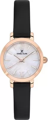 Наручные часы Daniel Klein 13780-6 фото