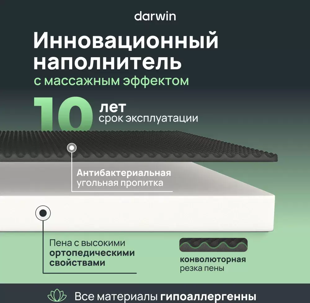 Матрас Darwin Breeze 200x200 фото