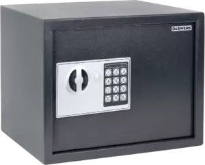 Daswerk SC-250EL / 291343 (графит)