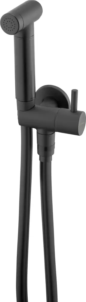 Deante Bidetta ANW N51B