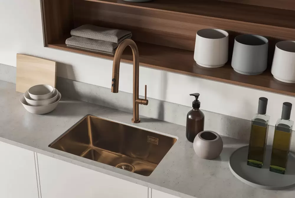 Кухонная мойка Deante Olfato ZPO C10B фото