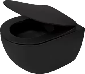 Унитаз Deante Peonia Nero CDEDNZPW фото