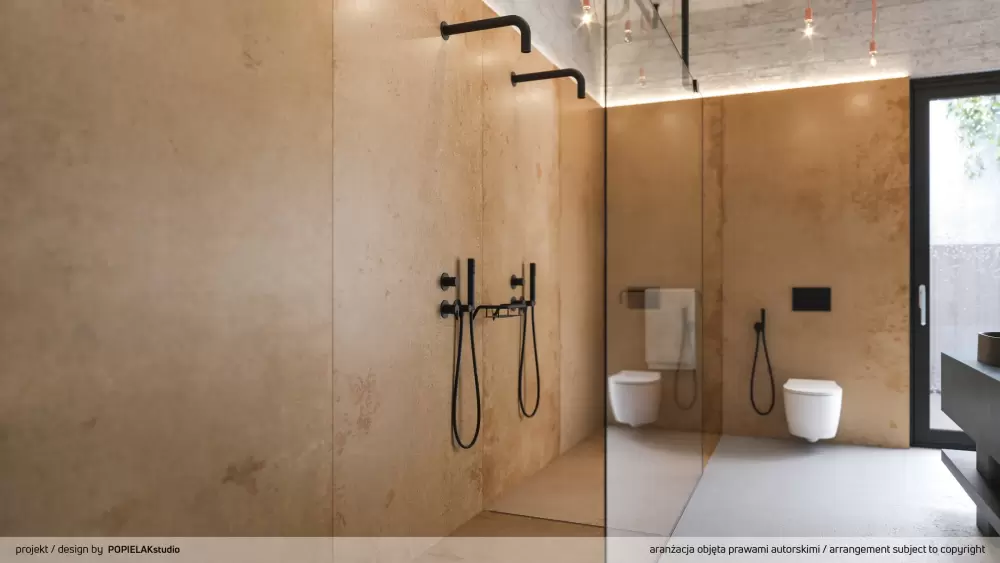 Душевая система Deante Silia NQS N9XK фото