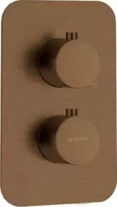 Смеситель Deante Therm Box BXY CEBT фото