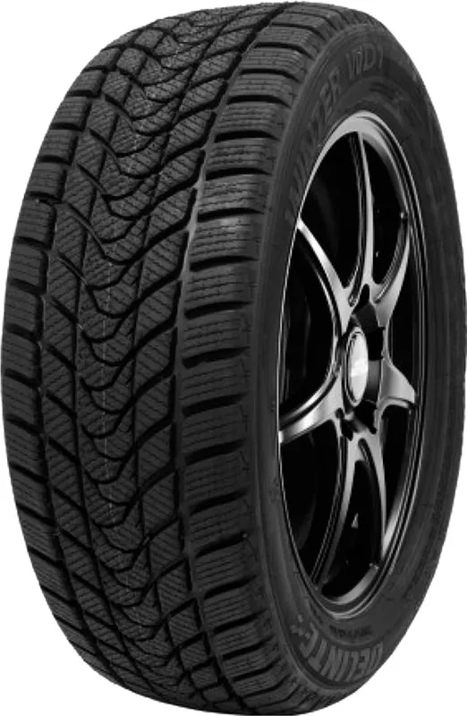Delinte Winter WD1 205/65R16 95T