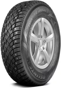 Зимняя шина Delinte Winter WD42 215/70R16 100T фото