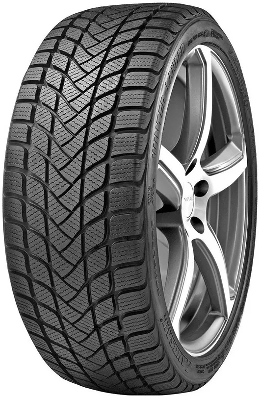 Delinte Winter WD6 185/55R15 82H