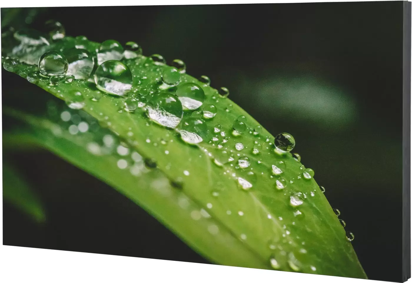 Дисплей для видеостен Dahua LS550KDM-UF фото